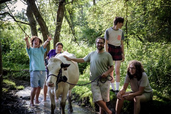 Let's Be Leonard with a cow